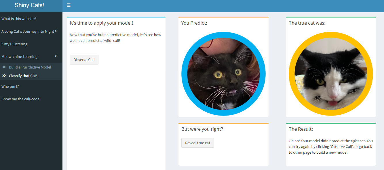 Screenshot of my Shiny website with my two cats making dumb faces